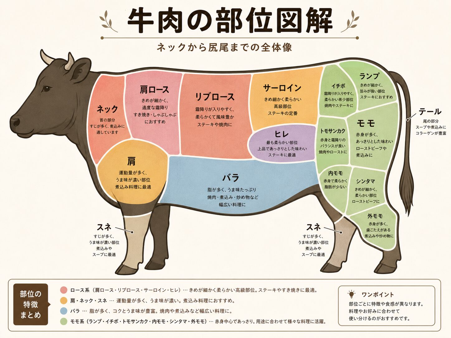 牛肉 部位 一覧