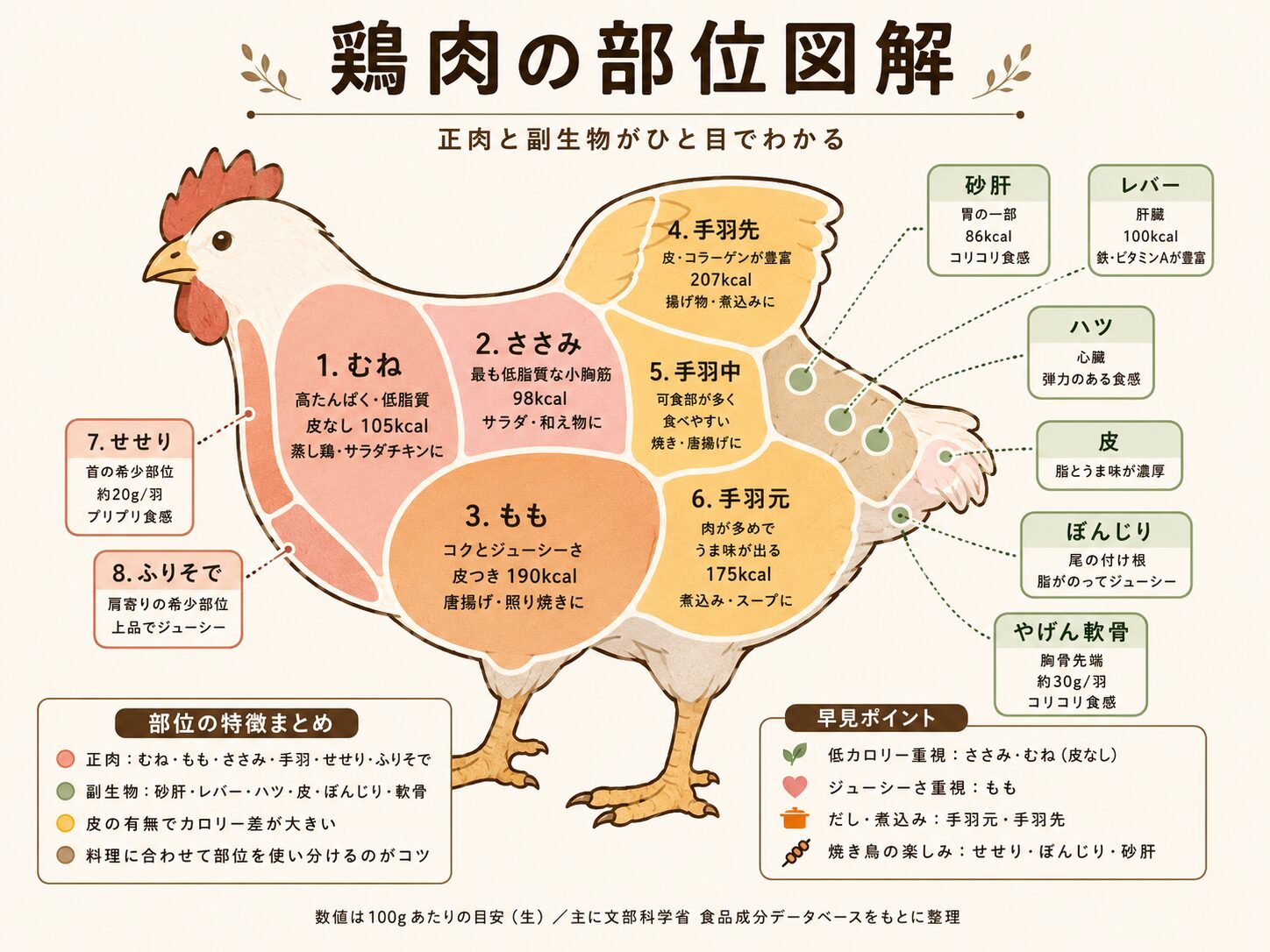 鶏肉の部位一覧図